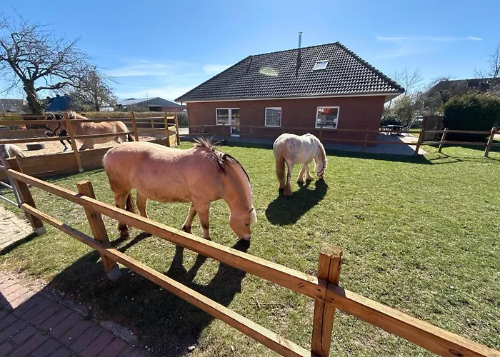 Bauernhof Claussen * Fehmarn